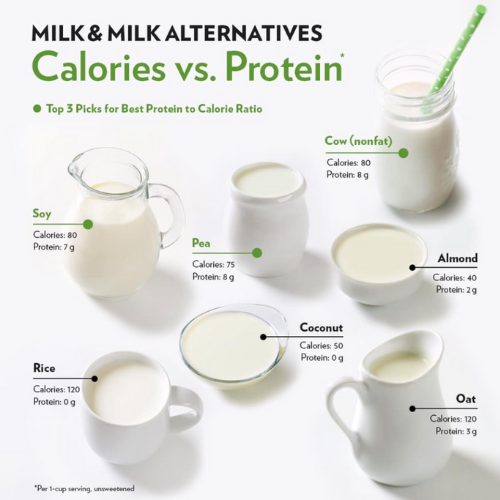 Milk Alternatives: Which Milk is the One for You?