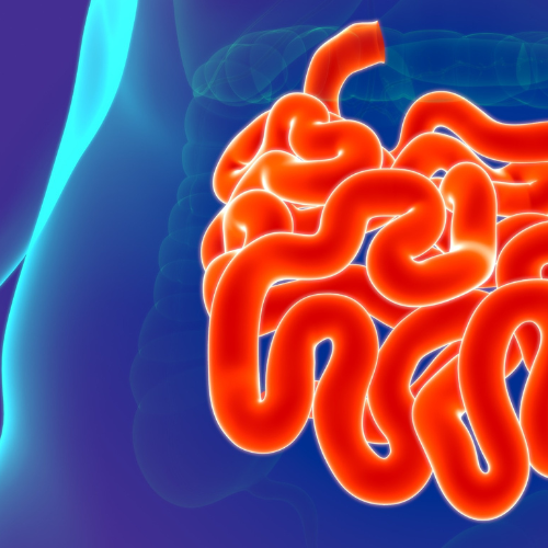 What Is “Leaky Gut” Anyway?